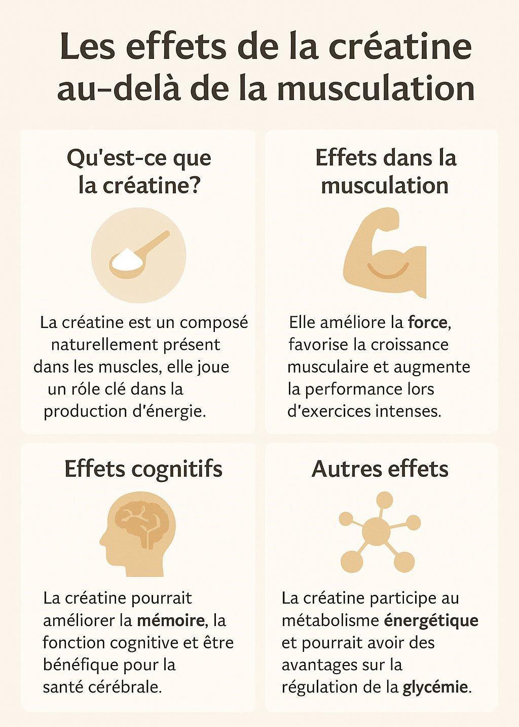 Créatine Monohydrate Terra