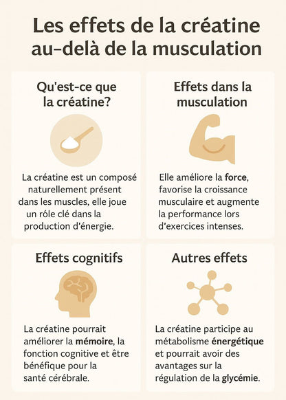 Créatine Monohydrate Terra