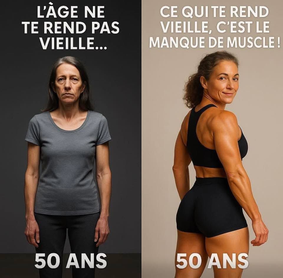 Créatine Monohydrate Terra